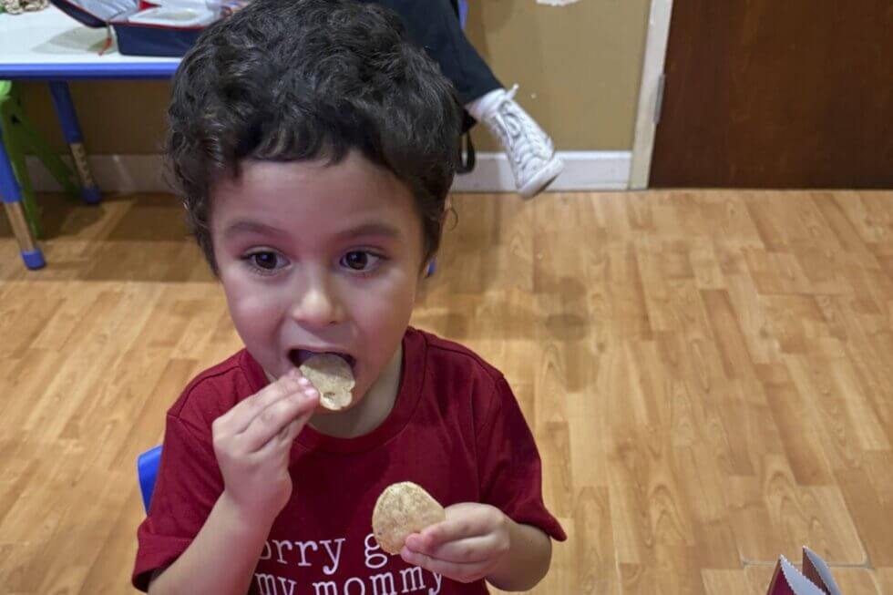 Feeding Tesla 980x653 1